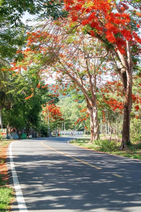 Homstay Thanh Son Chi Khu Co Ong Luaran gambar
